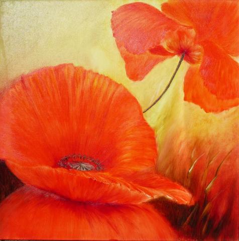 Mohnblumen
